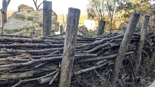 Workshop: Benjes-Hecke – Natürliche Hecke für mehr Biodiversität