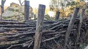 Workshop: Benjes-Hecke – Natürliche Hecke für mehr Biodiversität