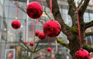 rote Weihnachtskugeln, Rathaus Leonding im Hintergrund