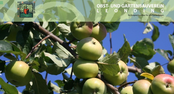 Praktischer Baumschnitt im Garten