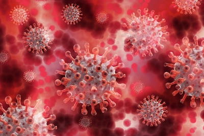 Symbolfoto Virus