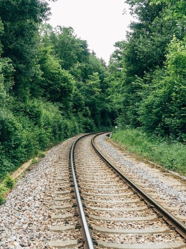 Zuggleise die durch einen Wald führen