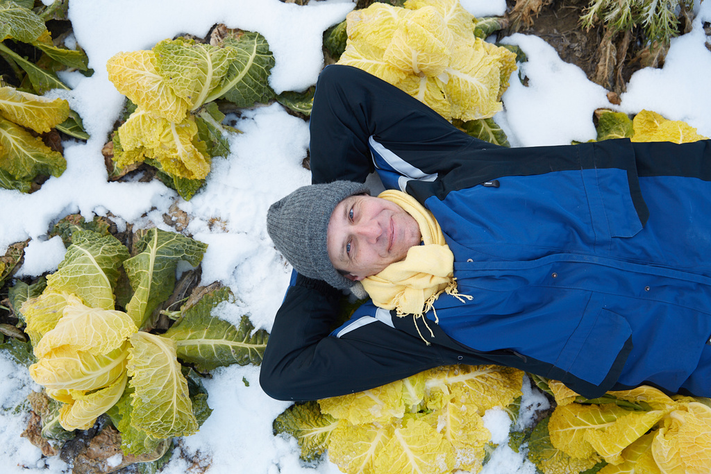 „Frisches Gemüse im Winter ernten: die Entdeckung einer verlorenen Jahreszeit“